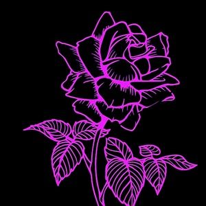 Meet your Posher, Violet